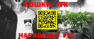 шишки Татарск