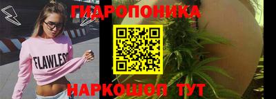 твердый Тара