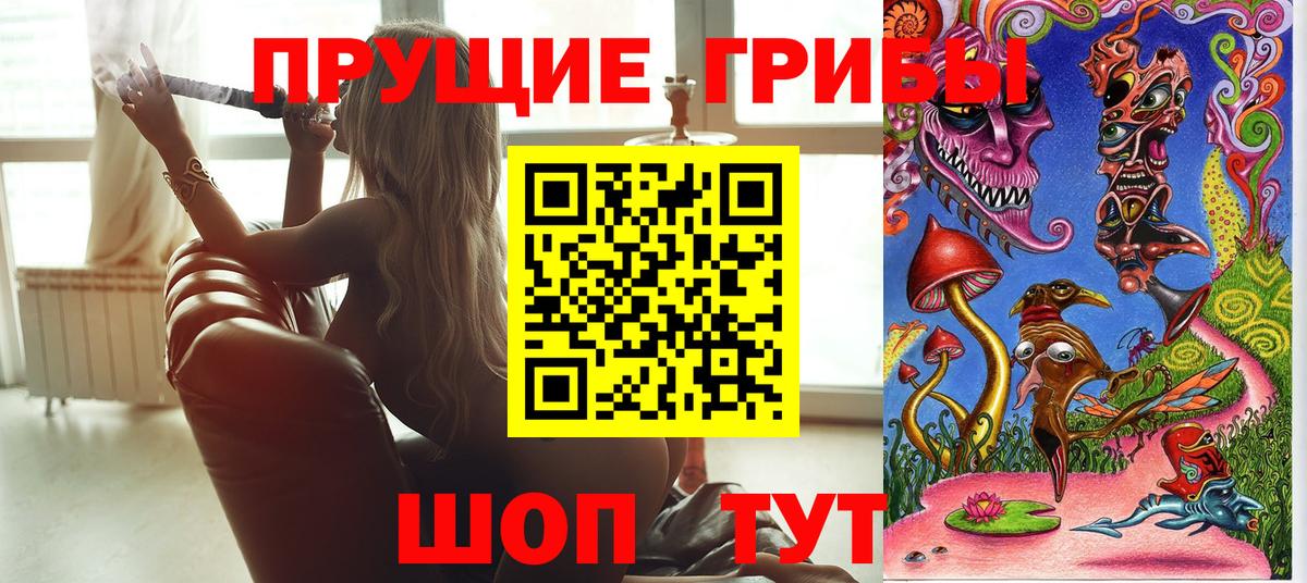 Псилоцибиновые грибы GOLDEN TEACHER Острогожск