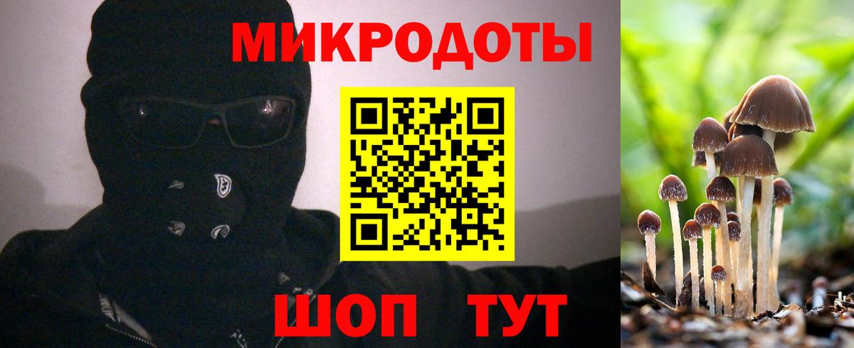 Псилоцибиновые грибы ЛСД  Галлюциногенные грибы Magic Shrooms  Острогожск  где купить наркотик  Вход с VPN 